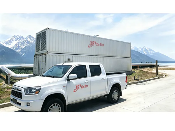 Biogas Power Generation Project